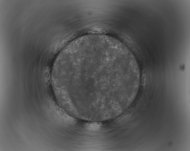 X0000116760318201001071200