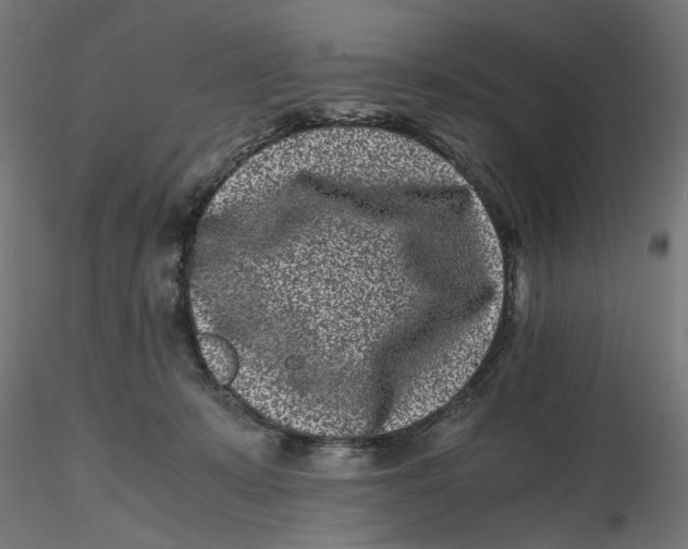 X0000116760319201001071200