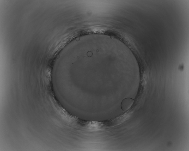 X0000116760321201001071200