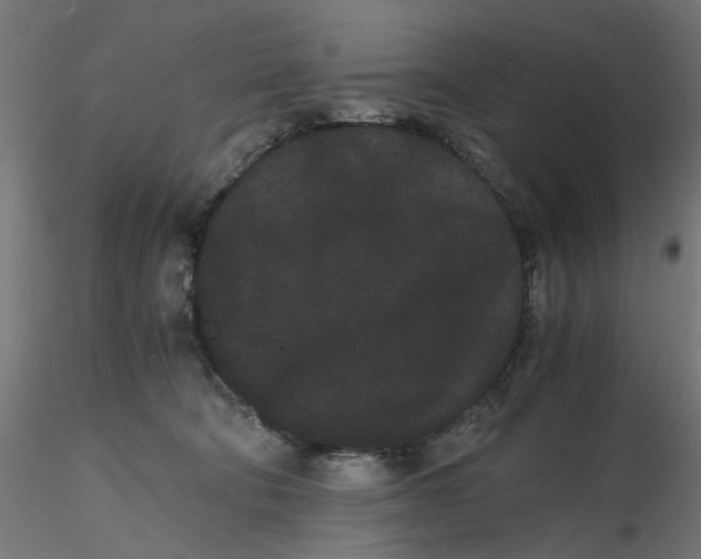 X0000116760322201001071200