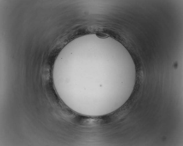 X0000116760323201001071200