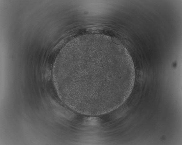 X0000116760324201001071200