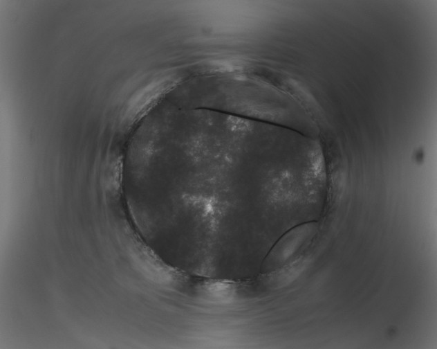 X0000116760325201001071200