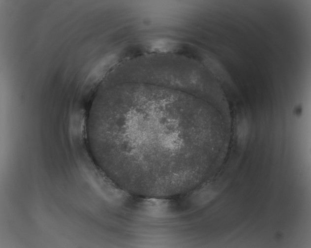 X0000116760328201001071200