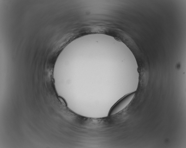 X0000116760329201001071200