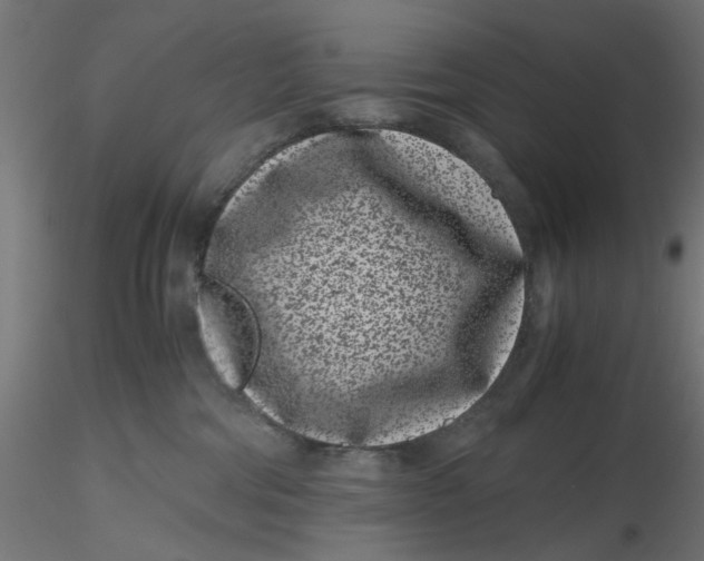 X0000116760330201001071200