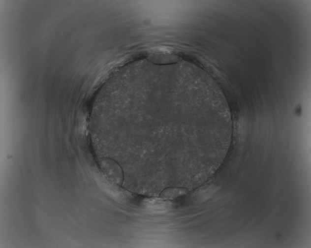 X0000116760331201001071200