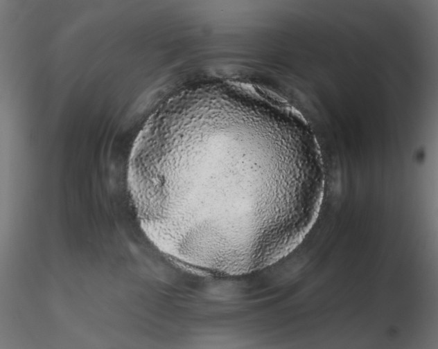 X0000116760332201001071200