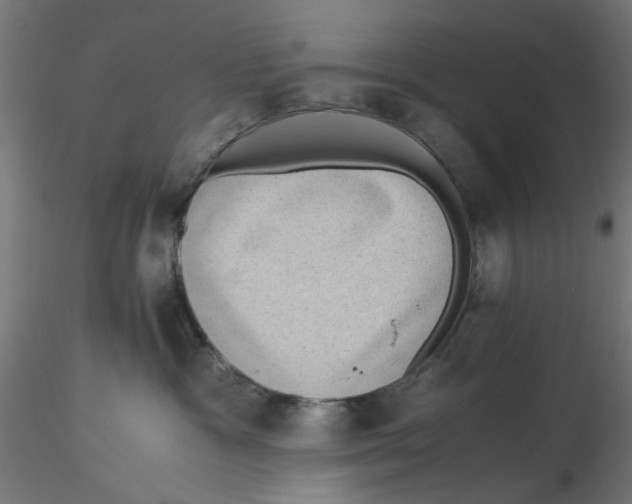 X0000116760333201001071200