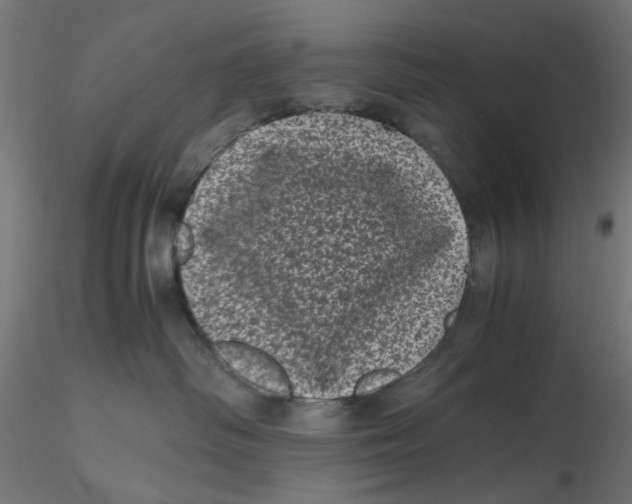 X0000116760334201001071200