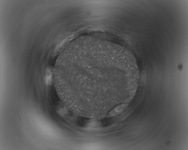 X0000116760335201001071200