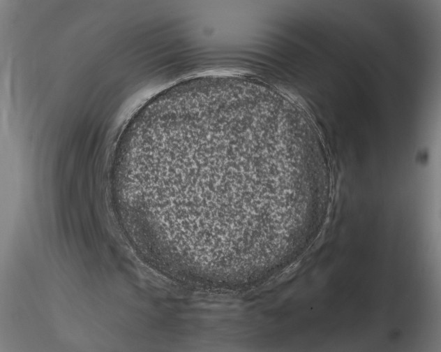 X0000116760337201001071200