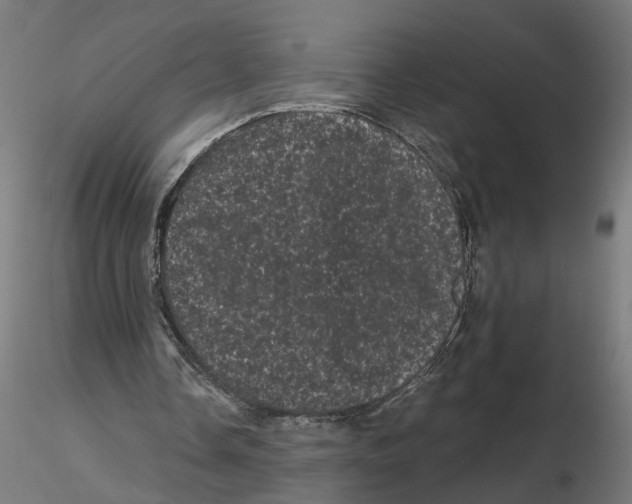 X0000116760338201001071200