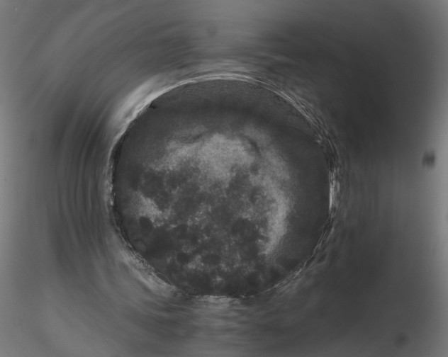 X0000116760339201001071200