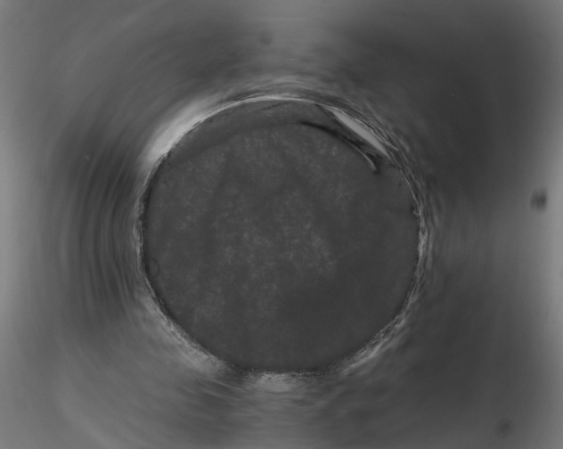 X0000116760341201001071200