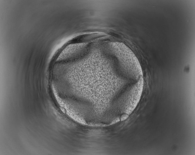 X0000116760342201001071200