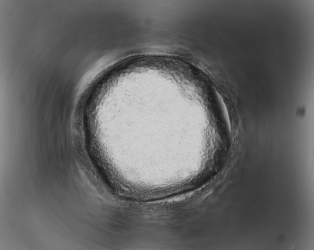 X0000116760343201001071200