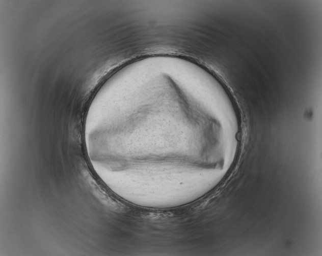 X0000116760345201001071200