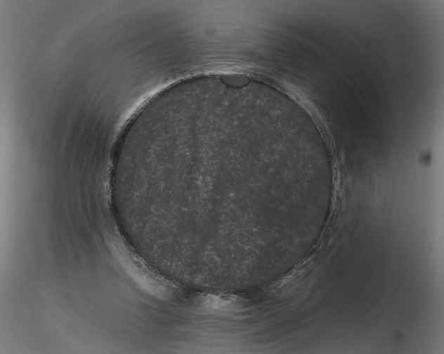 X0000116760346201001071200