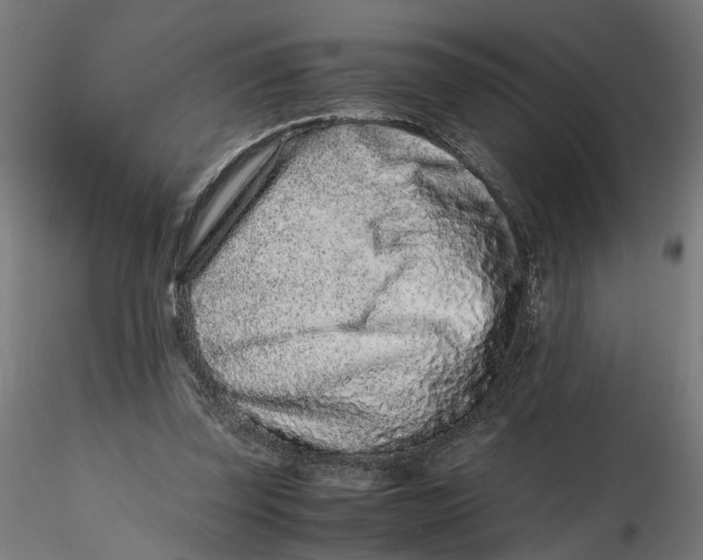 X0000116760347201001071200