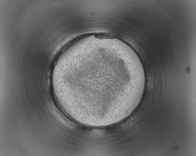 X0000116760350201001071200