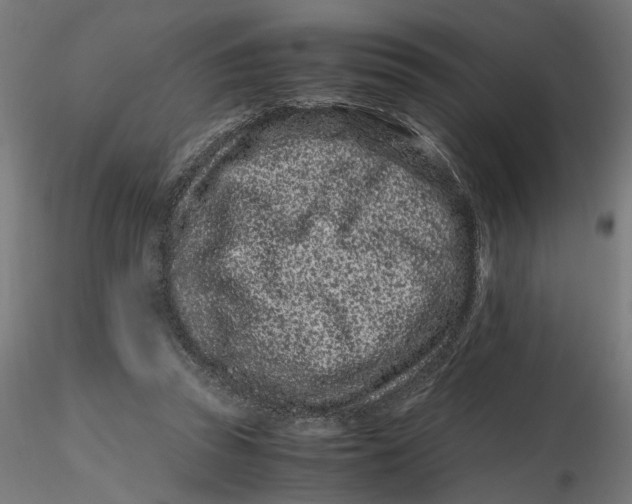 X0000116760353201001071200