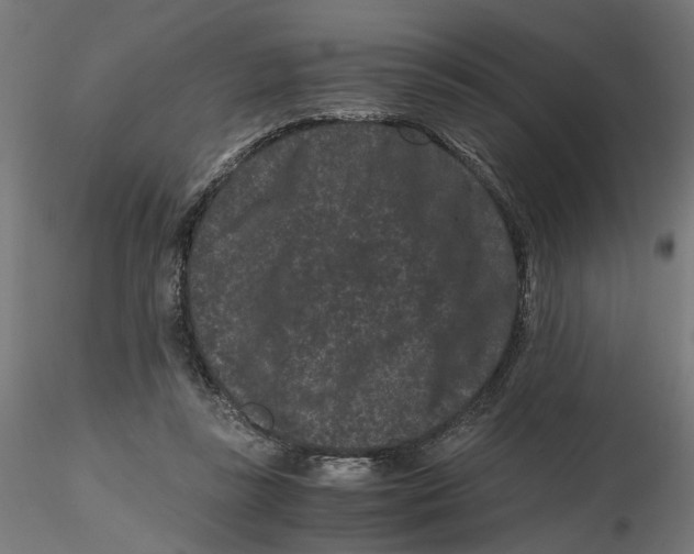 X0000116760355201001071200