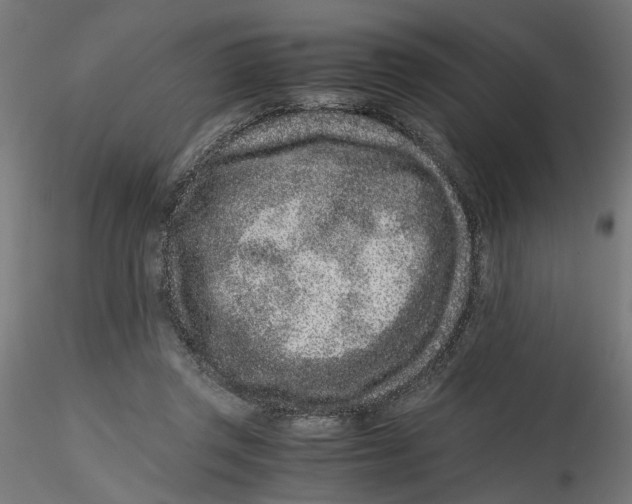 X0000116760357201001071200