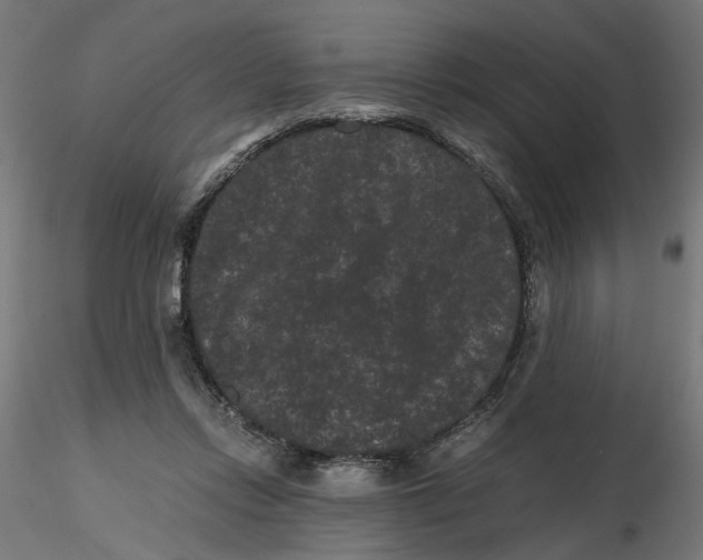 X0000116760358201001071200