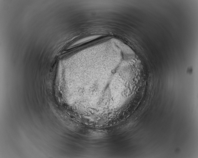 X0000116760359201001071200