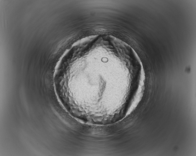 X0000116760361201001071200