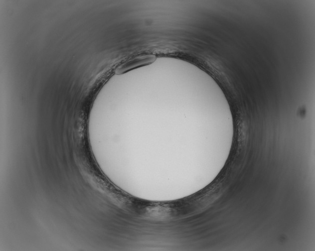 X0000116760362201001071200