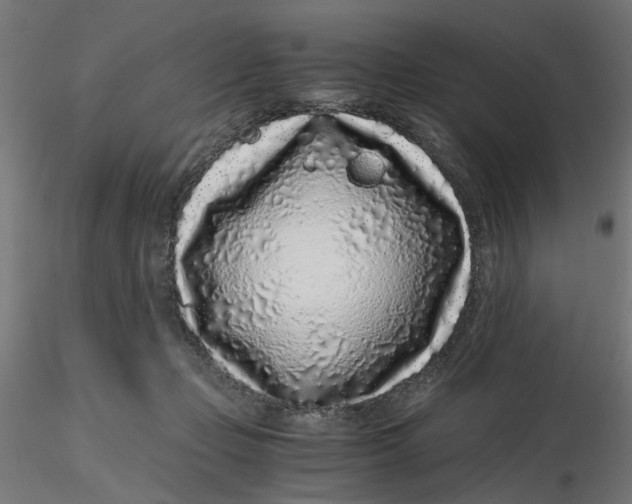 X0000116760365201001071200