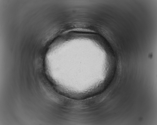 X0000116760367201001071200