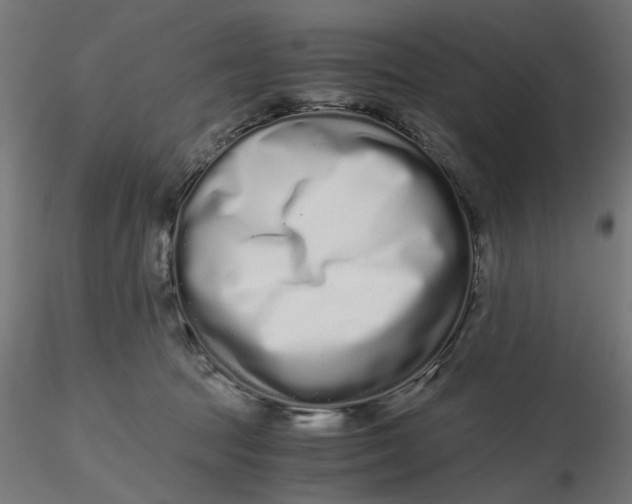 X0000116760369201001071200