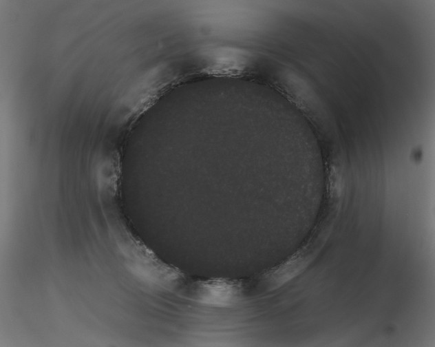 X0000116760370201001071200