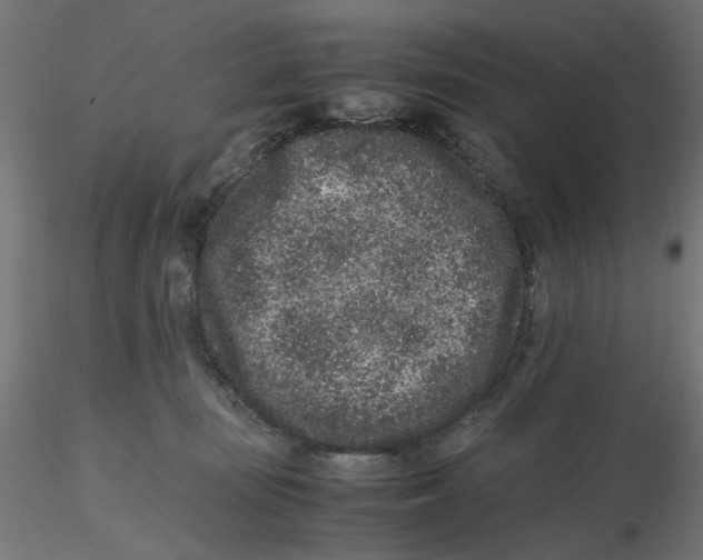 X0000116760371201001071200