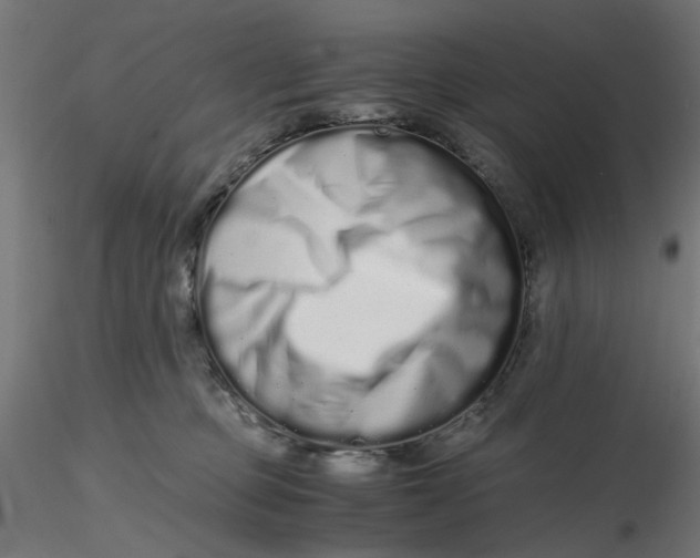 X0000116760373201001071200