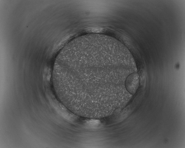 X0000116760374201001071200