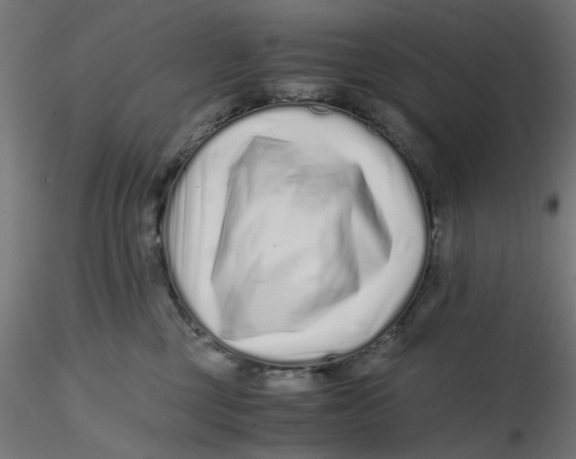 X0000116760377201001071200