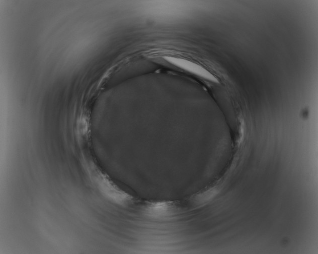 X0000116760382201001071200