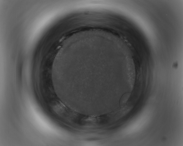 X0000116760383201001071200