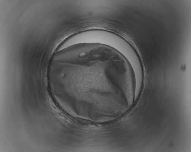 X0000116760386201001071200