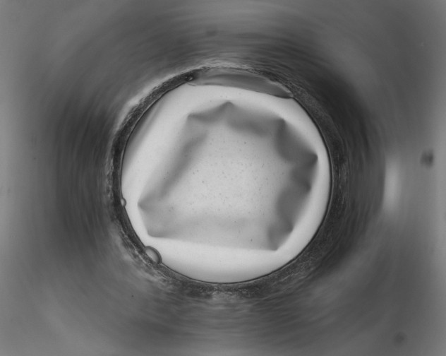 X0000116760388201001071200