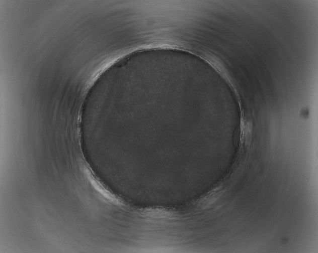 X0000116760389201001071200