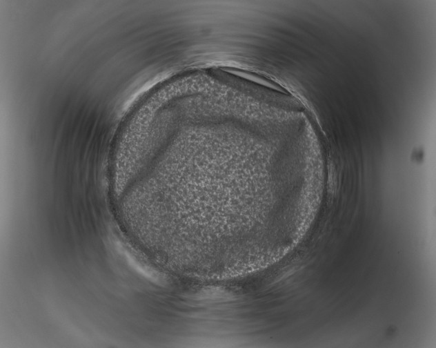 X0000116760390201001071200