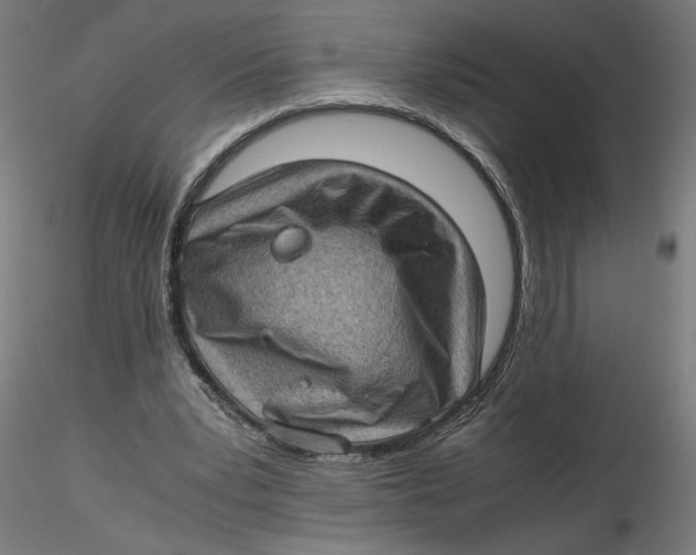 X0000116760391201001071200