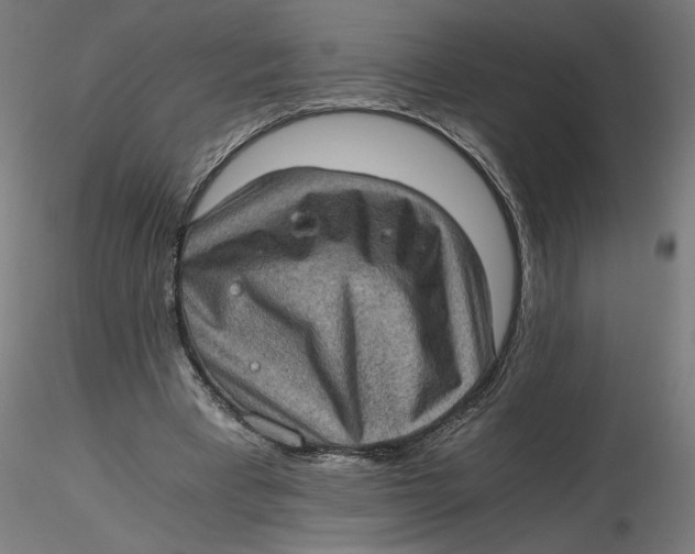 X0000116760393201001071159