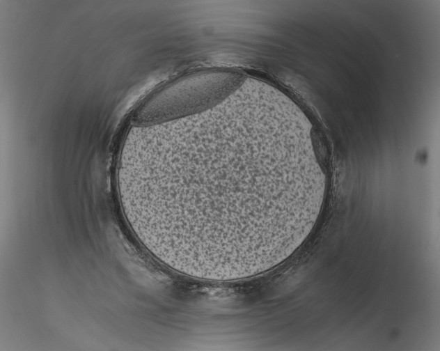 X0000116760395201001071159