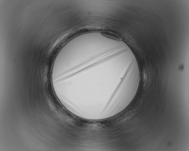 X0000116760396201001071159